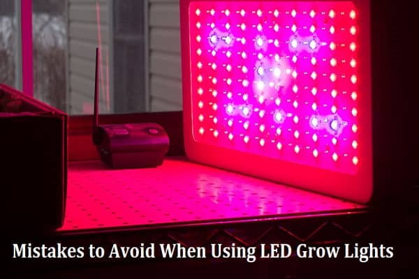 Common Mistakes to Avoid When Using LED Grow Lights
