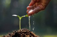 Water soluble fertilizer price – a good product for you