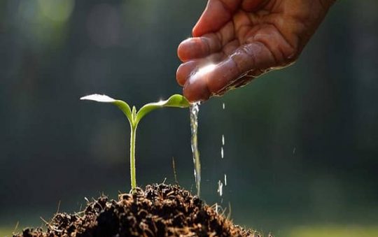 Water soluble fertilizer price – a good product for you