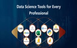 Data Science Tools for Every Professional